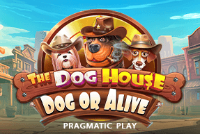 Wild West Gold
